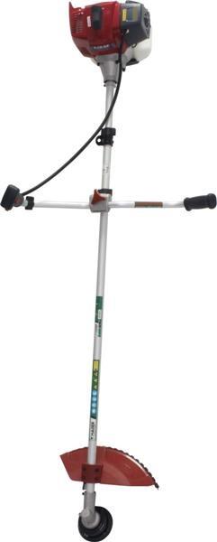 KAW49257