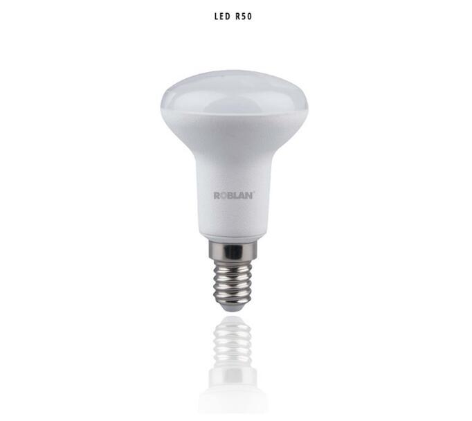 LEDR504100